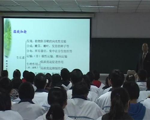 admin 第28页
